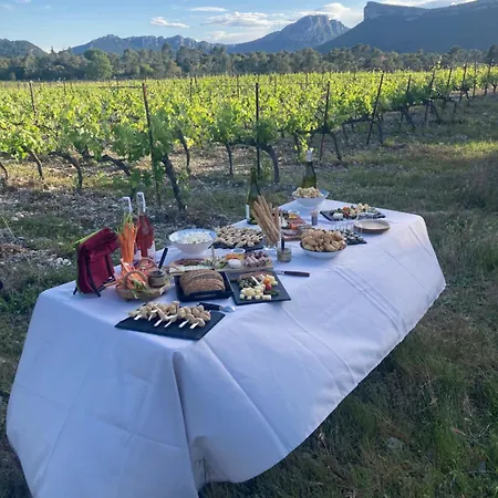 Des Chenes Vacquières