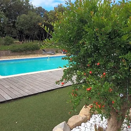 Bed & Breakfast Des Chenes Vacquieres (Herault)